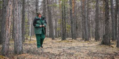 Депутат Арапов предлагает возродить службу лесничих: "Готовиться к сезону пожаров нужно заранее"