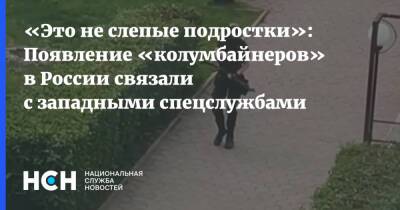 «Это не слепые подростки»: Появление «колумбайнеров» в России связали с западными спецслужбами