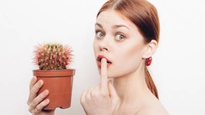 Цветок-разлучник: Почему женщинам нельзя держать в доме кактус