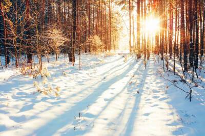 Похолодание до -18 градусов ожидается в Ленобласти 3 февраля