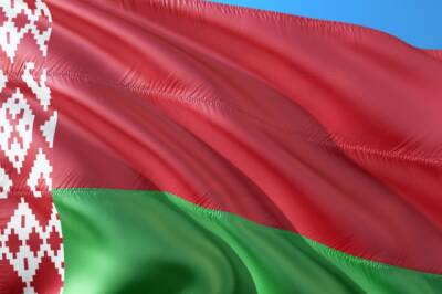 В Белоруссии образовали свыше 5500 участков для голосования на референдуме