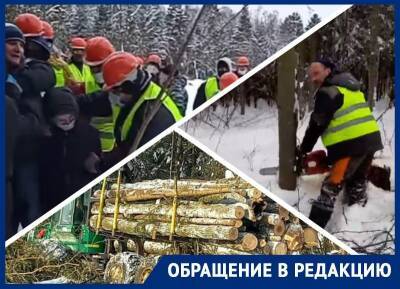 Власти Троицка поставили «вышибал», чтобы активисты не мешали вырубке леса