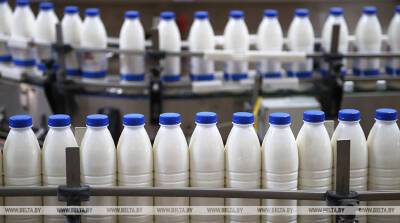 Беларусь заинтересована в поставках на рынок Нигерии молочной продукции, мяса птицы и яиц