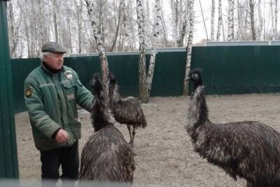 В Курчатове Курской области закрыли для посетителей Парк птиц из-за отсутствия лицензии