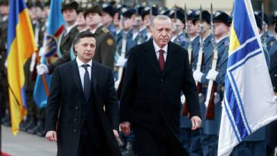 Эрдоган едет в Киев в статусе «хромой утки»