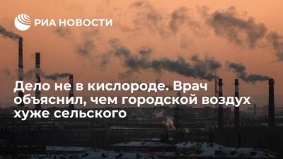 Пульмонолог Степанян: в городском воздухе содержится большое количество твердых частиц