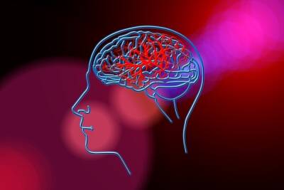 Врач-невролог назвала основные причины поражения сосудов мозга