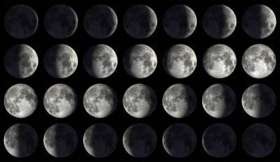 Перцы-гиганты будете собирать вёдрами: опубликован лунный календарь для огородников на 2022 год