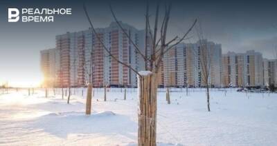 В Казани выделят почти 5 млн рублей на высадку деревьев после проведения работ «Водоканала»