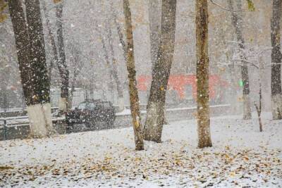 Снегопады надвигаются на Свердловскую область