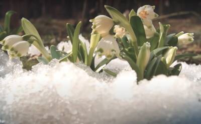 Весна берет свое: синоптик Диденко спрогнозировала какой будет погода в воскресенье