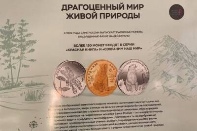Костромской музей-заповедник зовет на выставку «Драгоценный мир живой природы»