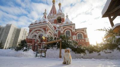Синоптик Шувалов спрогнозировал похолодание с 23 февраля в Московском регионе
