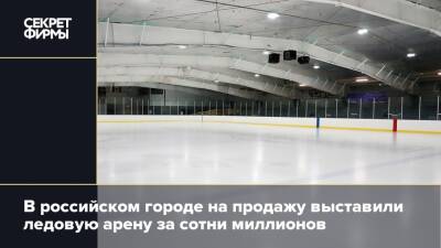 В российском городе на продажу выставили ледовую арену за сотни миллионов