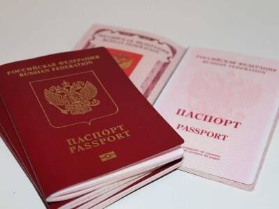 Почти 1 млн жителей Донбасса подали заявление на получение гражданства России
