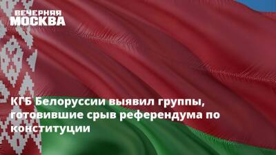 КГБ Белоруссии выявил группы, готовившие срыв референдума по конституции
