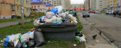 Жители России за вывоз мусора в 2021 году заплатили 175 млрд рублей