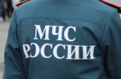 Чуприян заявил, что в МЧС зарегистрировали почти 30 российских регионов, готовых принять беженцев из Донбасса