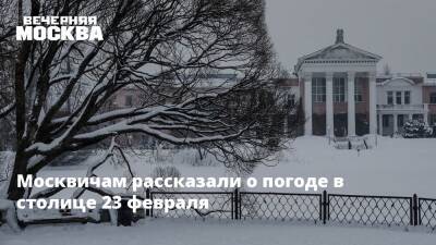 Москвичам рассказали о погоде в столице 23 февраля
