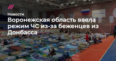Воронежская область ввела режим ЧС из-за беженцев из Донбасса