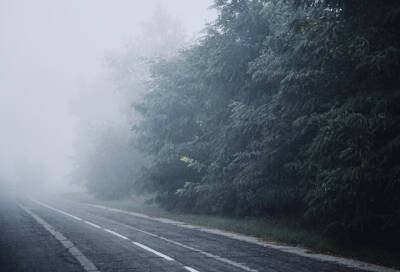 В Ленобласти утро понедельника начнется с тумана