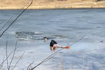 Житель Железноводска нырнул в озеро со льдом для спасения собаки