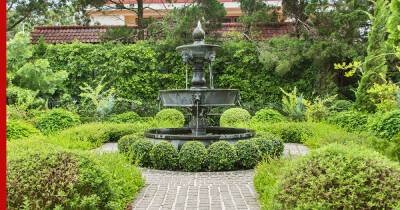 Спокойствие и умиротворение: 6 идей размещения фонтана в саду