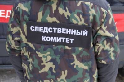 СК РФ возбудил дела по фактам ранения и гибели мирных жителей в Донбассе
