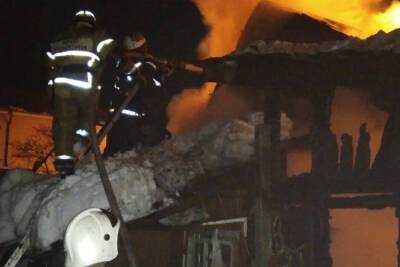 Пять человек тушили ночной пожар в новосокольнической деревне
