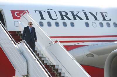 Визит Эрдогана в Африку придаст импульс росту экспорта сельхозпродукции Турции