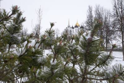 Снег и дождь пообещали в понедельник жителям Псковской области синоптики