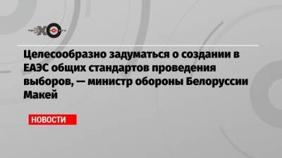 Целесообразно задуматься о создании в ЕАЭС общих стандартов проведения выборов, — министр обороны Белоруссии Макей