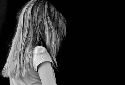 В Ленобласти возбудили уголовное дело о надругательстве над 14-летней девочкой