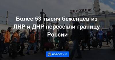 Более 53 тысяч беженцев из ЛНР и ДНР пересекли границу России