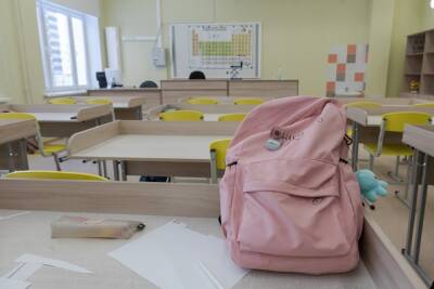 Власти ДНР сообщили, что школьники, за которыми некому присматривать, могут пойти в школу
