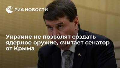 Сенатор Цеков назвал слова Зеленского о выходе из Будапештского меморандума пустыми