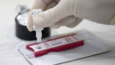 Россияне смогут получить цифровой сертификат после теста на антитела
