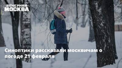 Синоптики рассказали москвичам о погоде 21 февраля