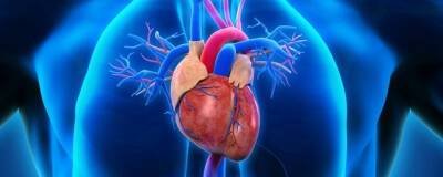 Профессор Олуф Педерсен перечислил факторы, ухудшающие здоровье сердца