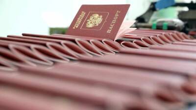 Около 1 млн жителей ДНР и ЛНР подали заявление на получение российского гражданства