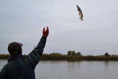 В Астрахани утонул рыбак из Волгограда
