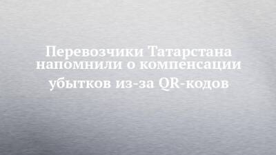 Перевозчики Татарстана напомнили о компенсации убытков из-за QR-кодов