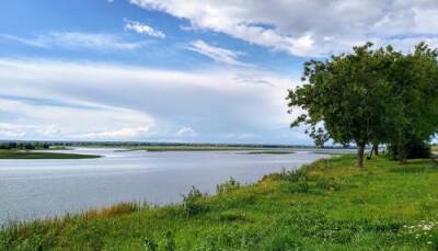 Почему городской воздух вреднее сельского