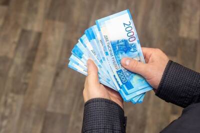 Начинающие специалисты из Петербурга хотят зарабатывать не меньше 50 тысяч рублей