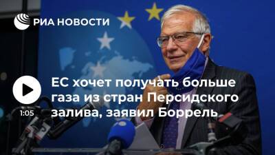 Глава евродипломатии Боррель: ЕС хочет получать больше газа из стран Персидского залива