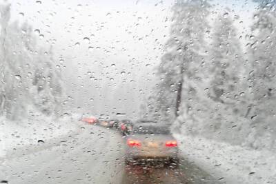 Циклон «Франклин» принес в Петербург снегопады и порывистый ветер