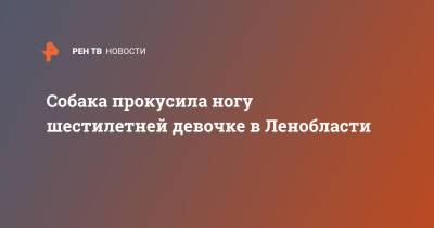 Собака прокусила ногу шестилетней девочке в Ленобласти