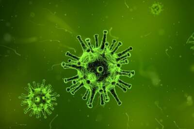 За неделю в Тульской области выявили более 14 тысяч случаев гриппа и ОРВИ