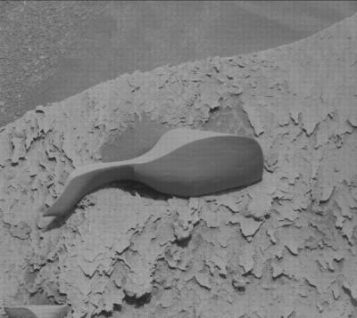 NASA сделало удивительную фотографию на Марсе: пользователи строят теории