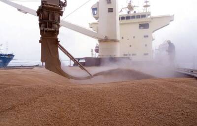 Экспорт российской пшеницы упал на 28,4%